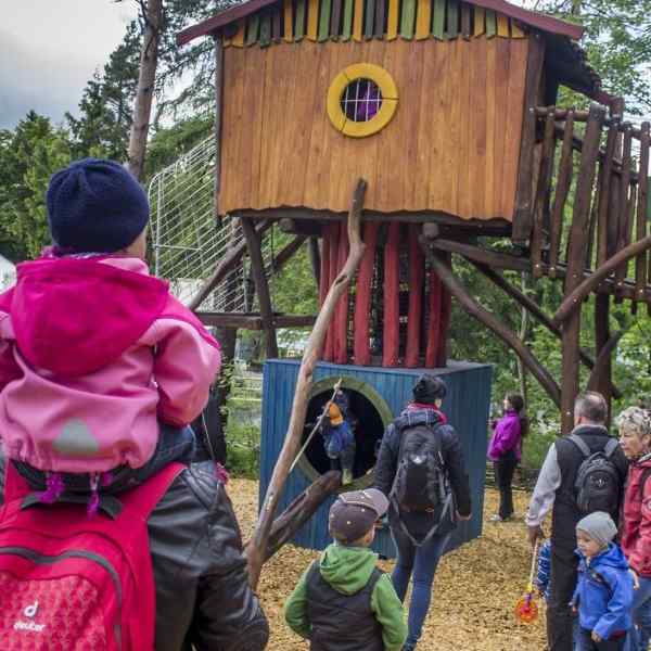 Der Fröbelwald an der Bergbahn